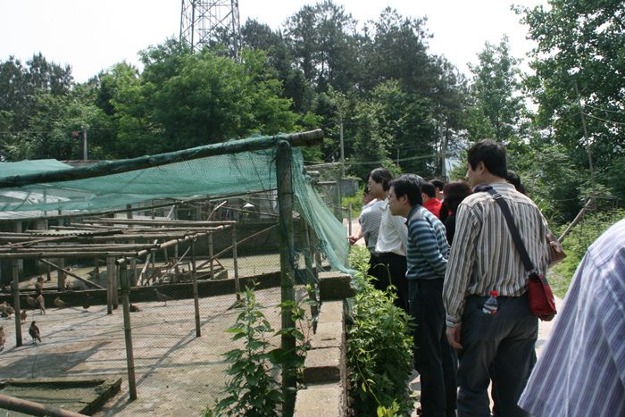 AGֱ����(�й�����)�ٷ���վ