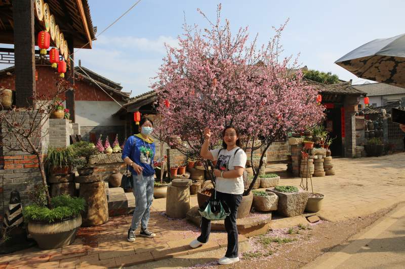 AGֱ����(�й�����)�ٷ���վ